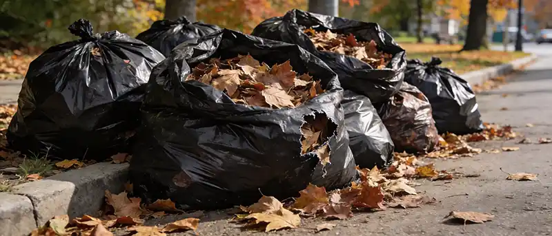 curbside plastic bags mixed with autumn leaves