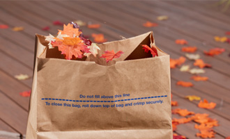 Paper Bag for Garden Waste Collection